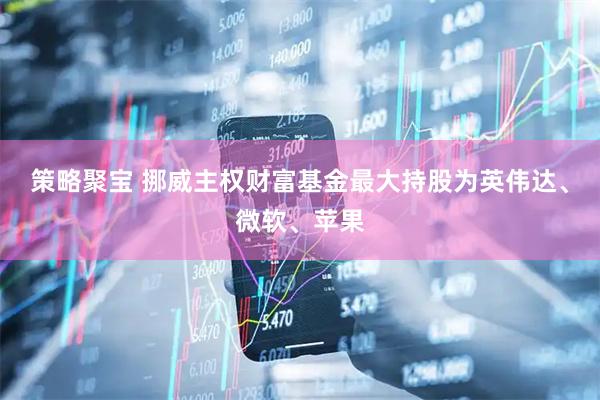 策略聚宝 挪威主权财富基金最大持股为英伟达、微软、苹果