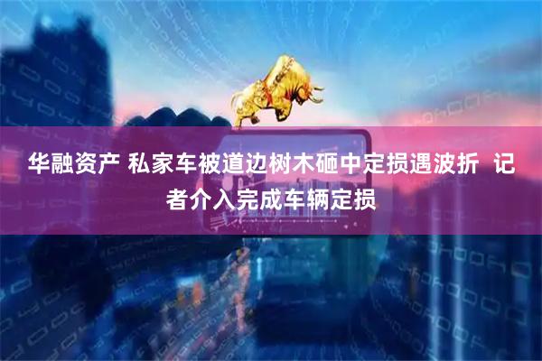 华融资产 私家车被道边树木砸中定损遇波折  记者介入完成车辆定损